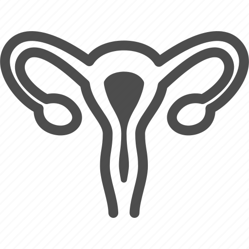 Female, human, internal, organ, reproductive, uterus icon - Download on Iconfinder