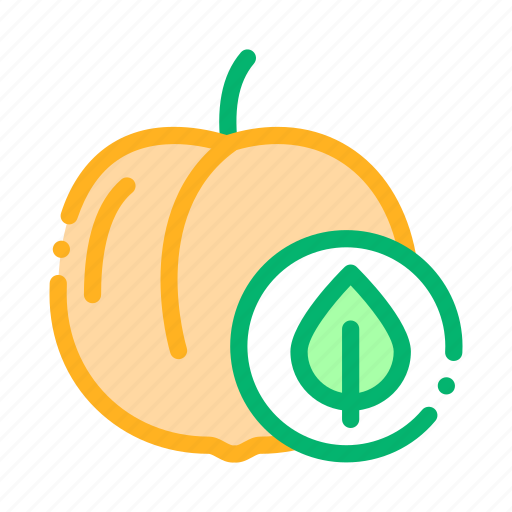 Food, fruit, leaf, peach icon - Download on Iconfinder