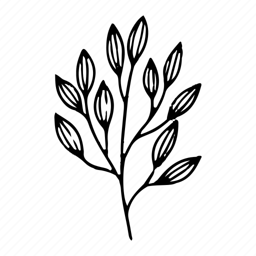 Plant, leaf, leaves, tree, organic, nature icon - Download on Iconfinder