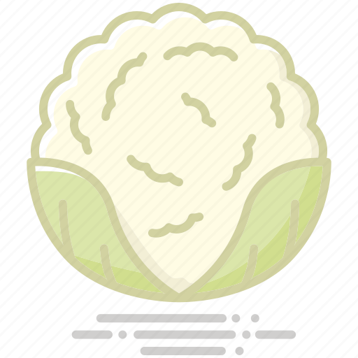 Cabbage, cauliflower, food, groceries, healthy eating, vegetable icon - Download on Iconfinder