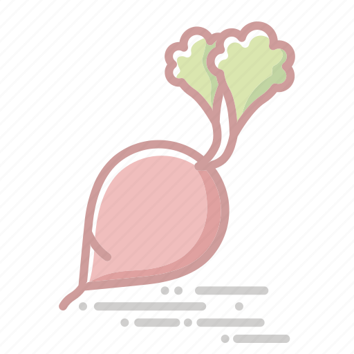 Food, groceries, healthy eating, radish, root, vegetable icon - Download on Iconfinder