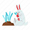 rabbit, carrot, eat, bunny, garden, spring, spring season, springtime, nature