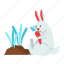 rabbit, carrot, eat, bunny, garden, spring, spring season, springtime, nature 