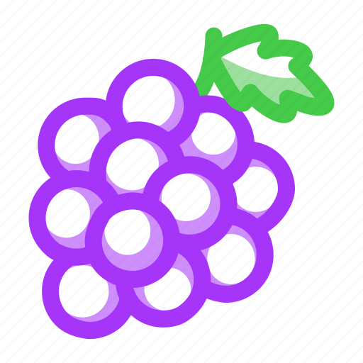 Grape, fresh, fruit icon - Download on Iconfinder