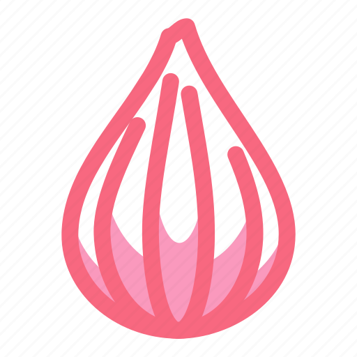 Onion, vegetable, cooking icon - Download on Iconfinder