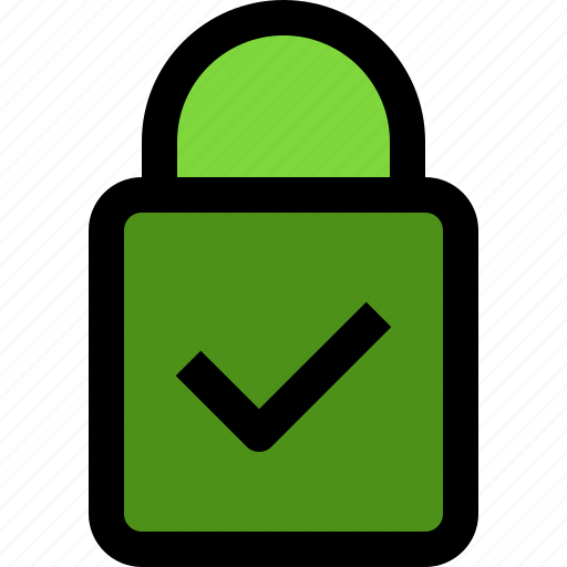 Padlock, correct, lock, keyword, check, mark icon - Download on Iconfinder