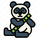 panda, bear, animal, ursidae, sit