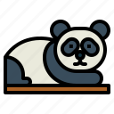 panda, bear, animal, ursidae, sleep