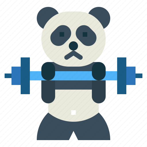 Panda, bear, animal, ursidae, barbell icon - Download on Iconfinder
