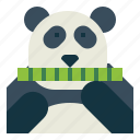 panda, bear, animal, ursidae, eat