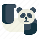 panda, bear, animal, ursidae, giant