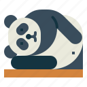 panda, bear, animal, ursidae, sleep