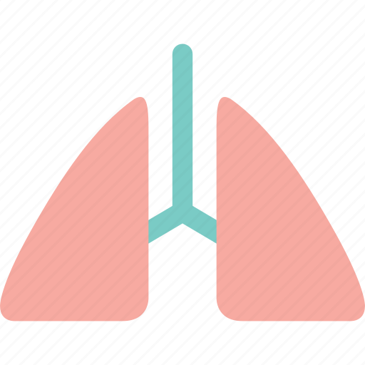 Emergency, healthcare, hospital, lung, medical, organ, surgery icon - Download on Iconfinder