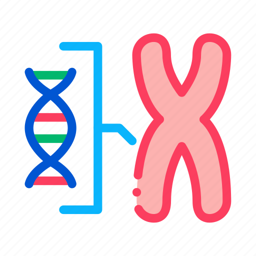Best father, chromosome, father and son, molecule, paternity icon - Download on Iconfinder