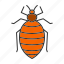 bed bug, bedbug, beetle, insect, parasite, pest 