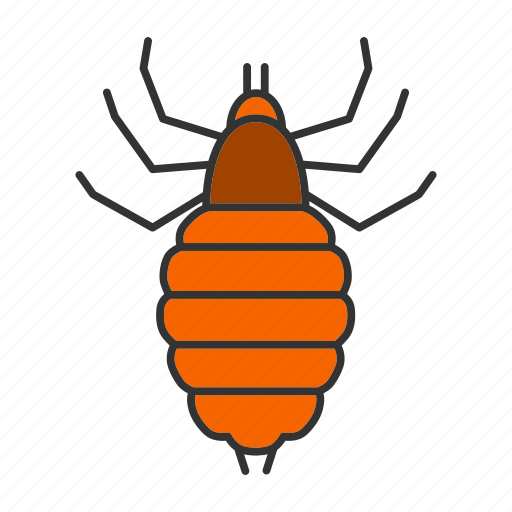 Bloodsucker, bug, insect, lice, louse, parasite, pest icon - Download on Iconfinder