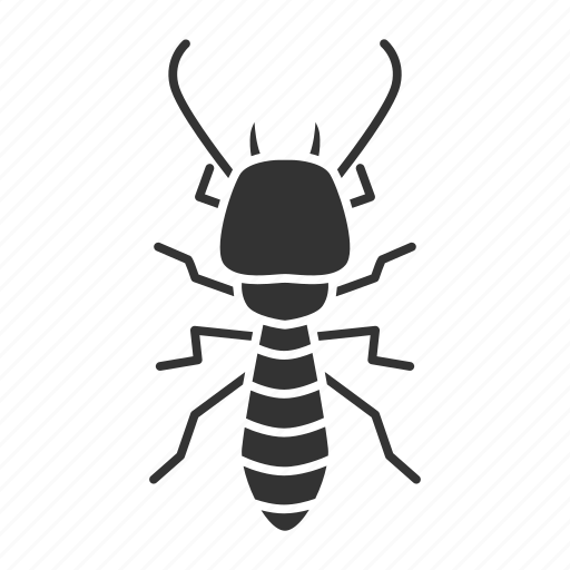 Beetle, bug, insect, pest, termite, white ant icon - Download on Iconfinder