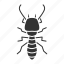 beetle, bug, insect, pest, termite, white ant 