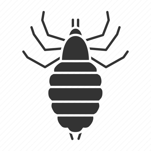 Bloodsucker, bug, insect, lice, louse, parasite, pest icon - Download on Iconfinder