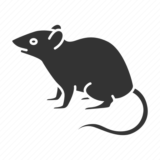 Animal, control, deratization, mouse, pest, rat, rodent icon - Download on Iconfinder
