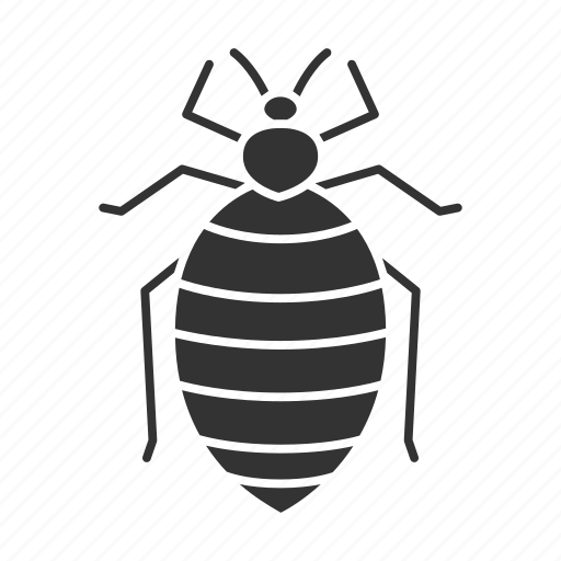 Bed bug, bedbug, beetle, insect, parasite, pest icon - Download on Iconfinder