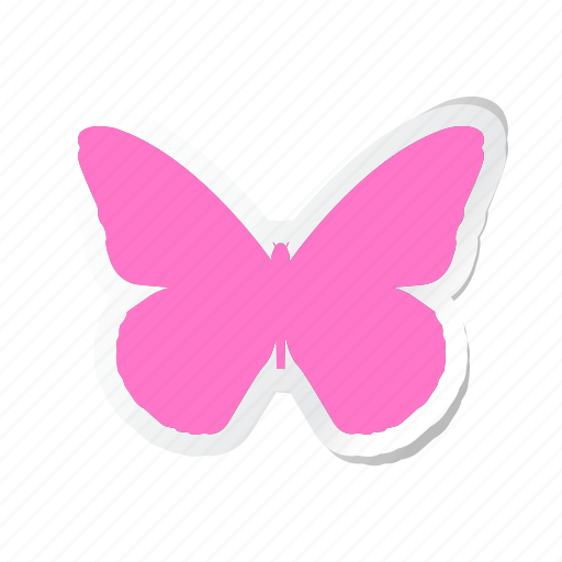 Animal, animals, breed, domestic, mammal, pet, butterfly icon - Download on Iconfinder