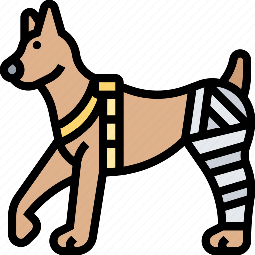 Knee, brace, dogs, support, recover icon - Download on Iconfinder