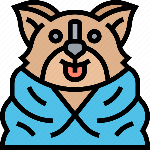 Towel, pet, bathing, cleaning, spa icon - Download on Iconfinder