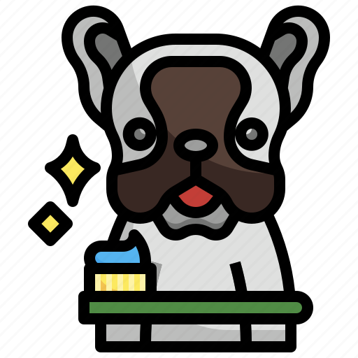 Brush, dog, teeth, animal, kingdom, bulldog, pet icon - Download on Iconfinder