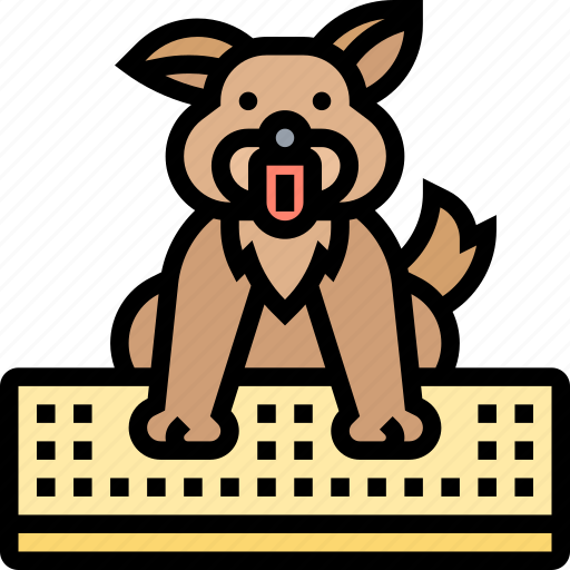 Feet, cleaning, paw, dog, hygiene icon - Download on Iconfinder