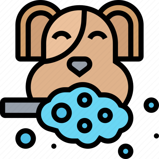 Teeth, brushing, dog, oral, hygiene icon - Download on Iconfinder
