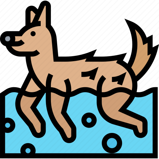 Hydrotherapy, dog, rehabilitation, treatment, clinic icon - Download on Iconfinder