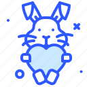 rabbit, animal, care