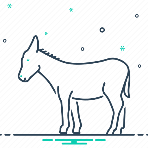 Animal, asinus, ass, burro, donkey, jackass, mule icon - Download on Iconfinder