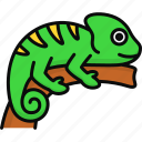 chameleon, lizard, reptile, animal, jungle, pet