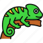 chameleon, lizard, reptile, animal, jungle, pet 