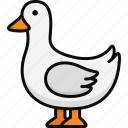 goose, duck, farm animal, farming, domestic animal