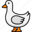 goose, duck, farm animal, farming, domestic animal 