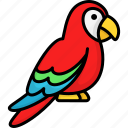 parrot, macaw, tropical, jungle, bird, pet