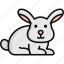 rabbit, hare, bunny, mammal, pet, domestic animal 