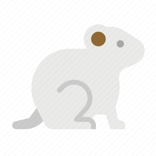 Animal, hamster, kingdom, rodent, zoology icon - Download on Iconfinder