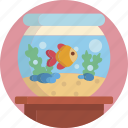 animal, aquarium, fish, fishbowl, goldfish, petshop, tank