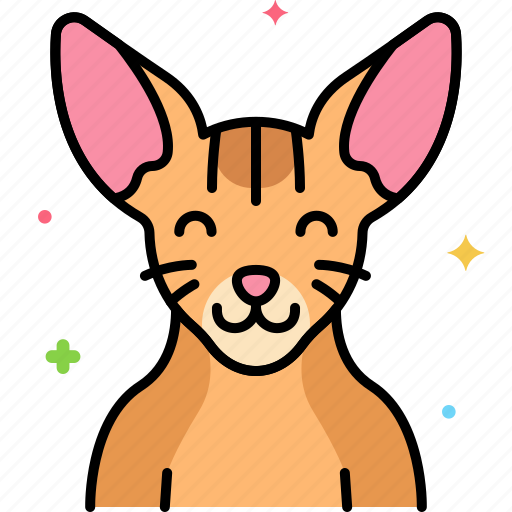 Abyssinian, cat icon - Download on Iconfinder on Iconfinder