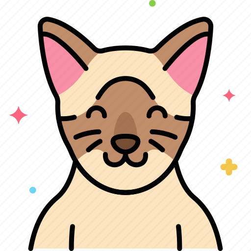 Burmese, cat icon - Download on Iconfinder on Iconfinder