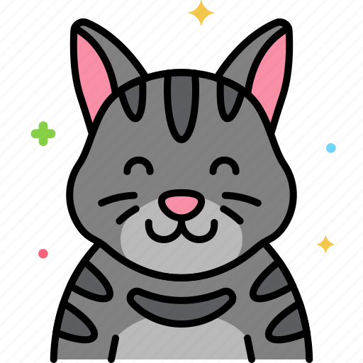 Domestic, shorthair icon - Download on Iconfinder