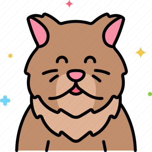 Persian, cat icon - Download on Iconfinder on Iconfinder