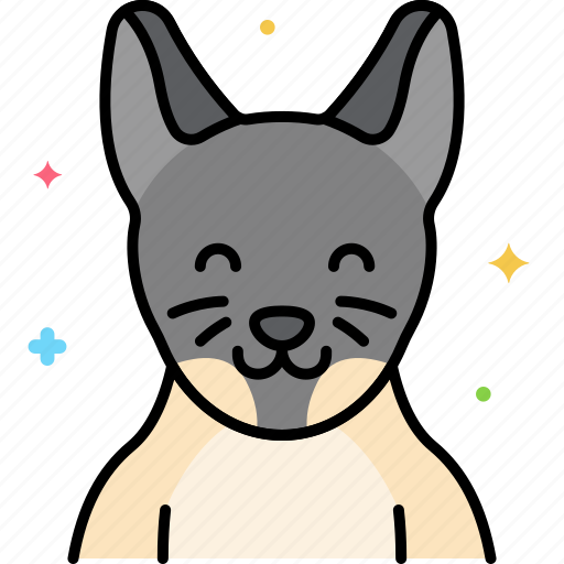 Siamese, cat icon - Download on Iconfinder on Iconfinder