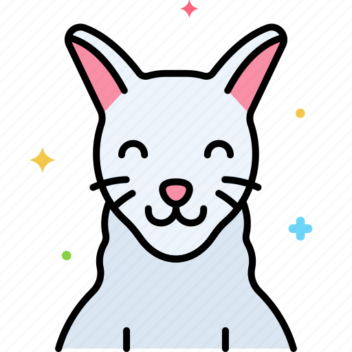 Turkish, angora, cat icon - Download on Iconfinder