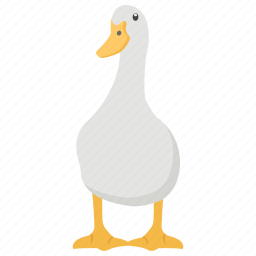 Bird, canard, duck, furphy, ganso icon - Download on Iconfinder