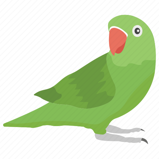 Bird, cockatiel, cockatoo, domestic, macaw, parrot, pet icon - Download on Iconfinder